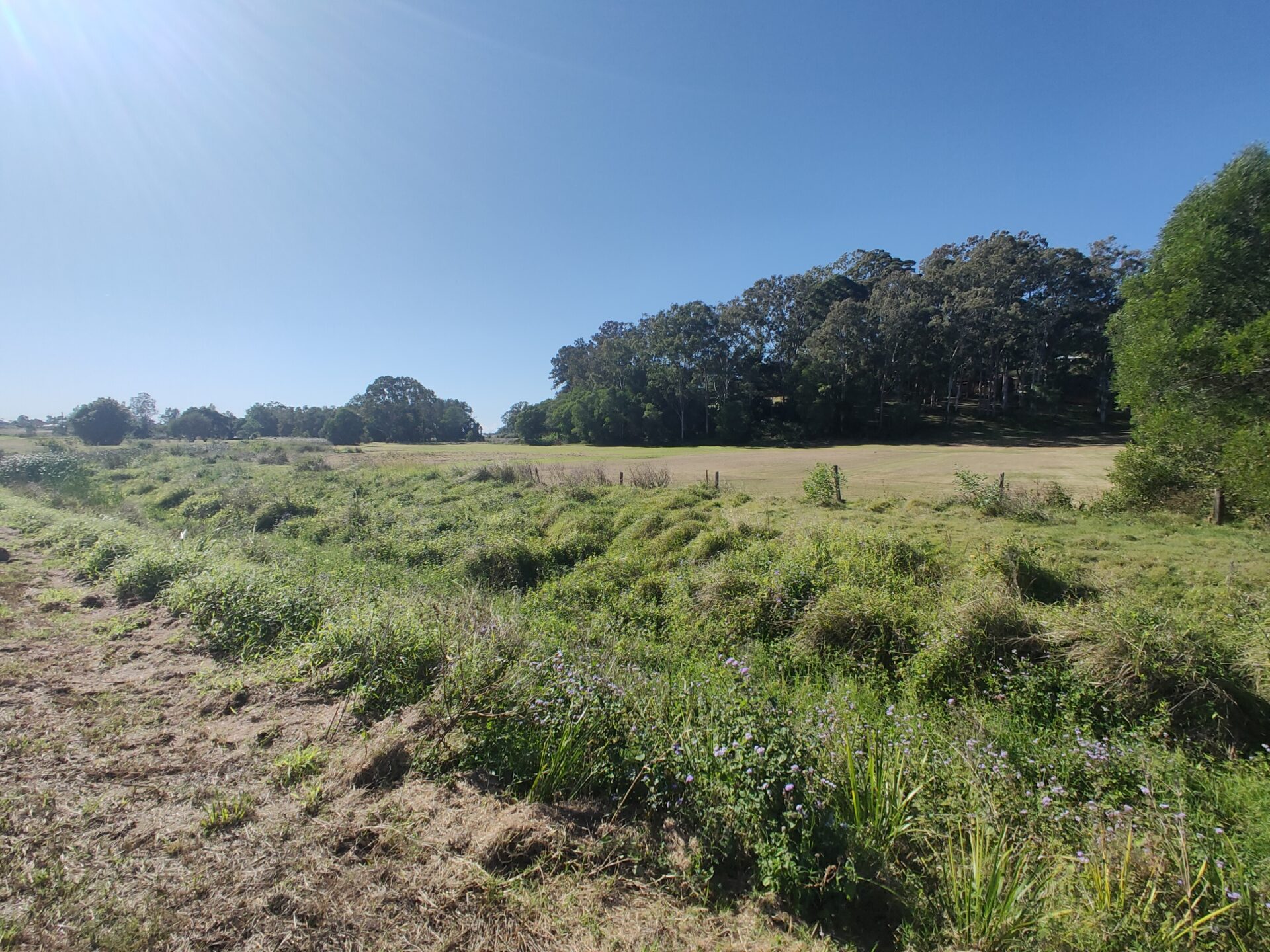 20-lot subdivision proposal